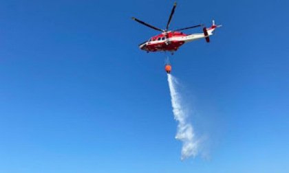 Incendio nel Parco naturale del Delta del Po