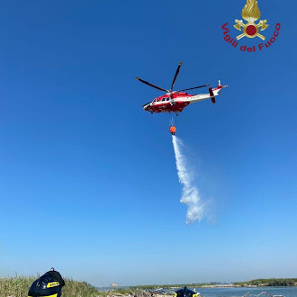 Incendio nel Parco naturale del Delta del Po