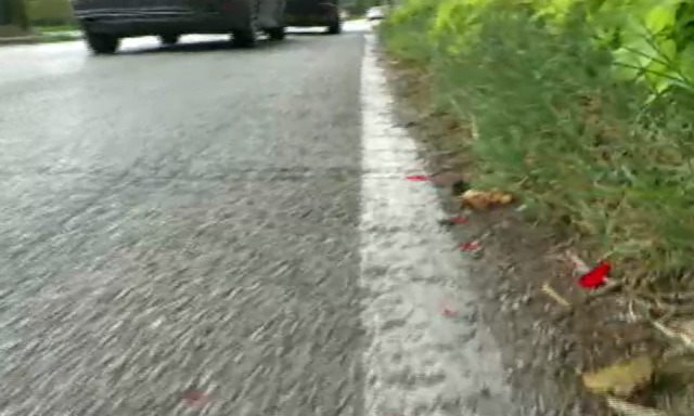 Resta gravissimo il bimbo di 7 anni investito in bici con la mamma ad Adria da un automobilista senza patente e assicurazione