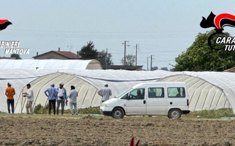 Immigrazione clandestina e sfruttamento del lavoro: operazione dei carabinieri anche nel Rodigino