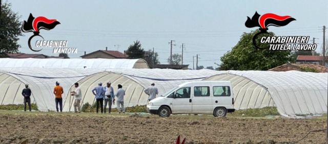 Immigrazione clandestina e sfruttamento del lavoro: operazione dei carabinieri anche nel Rodigino