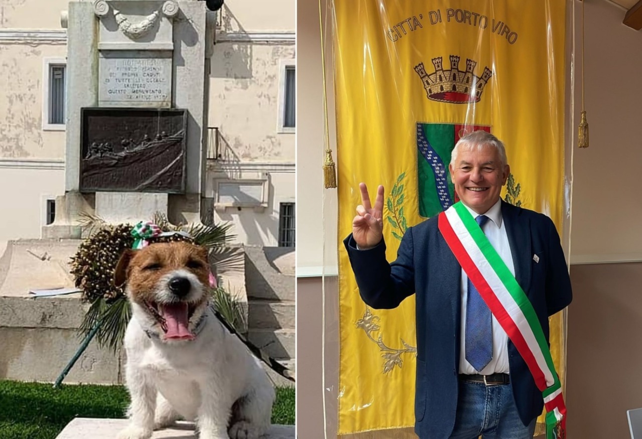 Il suo cane prende tre voti… e lui diventa sindaco: il Tar conferma l’elezione