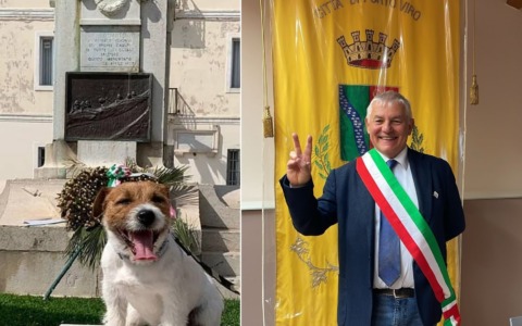 Il suo cane prende tre voti… e lui diventa sindaco: il Tar conferma l’elezione