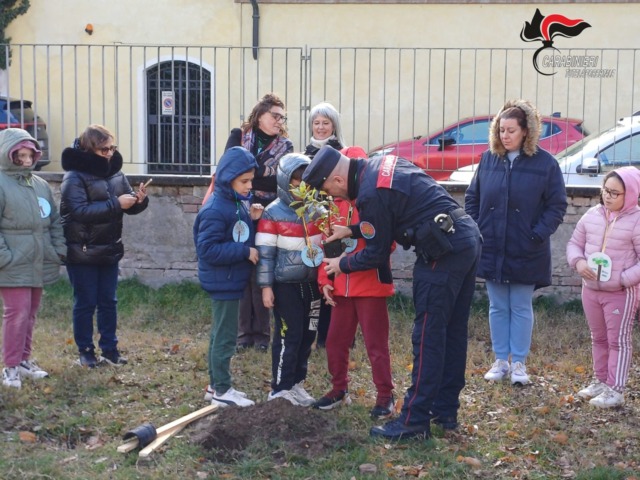 Giornata nazionale degli alberi 2025: nell’educazione e tutela ambientale