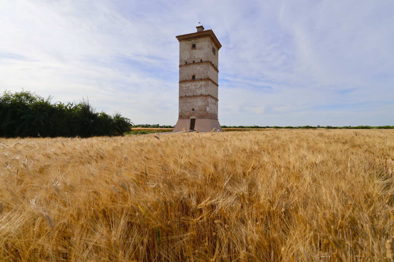 Cosa fare a Rovigo e provincia nel weekend: gli eventi di sabato 22 e domenica 23 novembre 2025