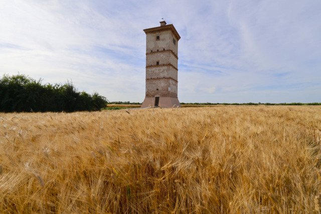 Cosa fare a Rovigo e provincia nel weekend: gli eventi di sabato 22 e domenica 23 novembre 2025