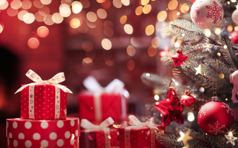 Cosa fare a Rovigo e provincia nel weekend: gli eventi di sabato 13 e domenica 14 dicembre 2025