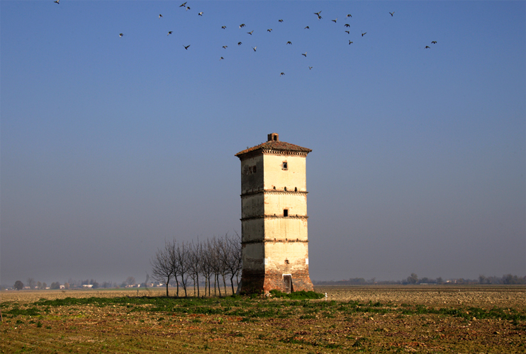 Cosa fare a Rovigo e provincia nel weekend: gli eventi di sabato 24 e domenica 25 gennaio 2026
