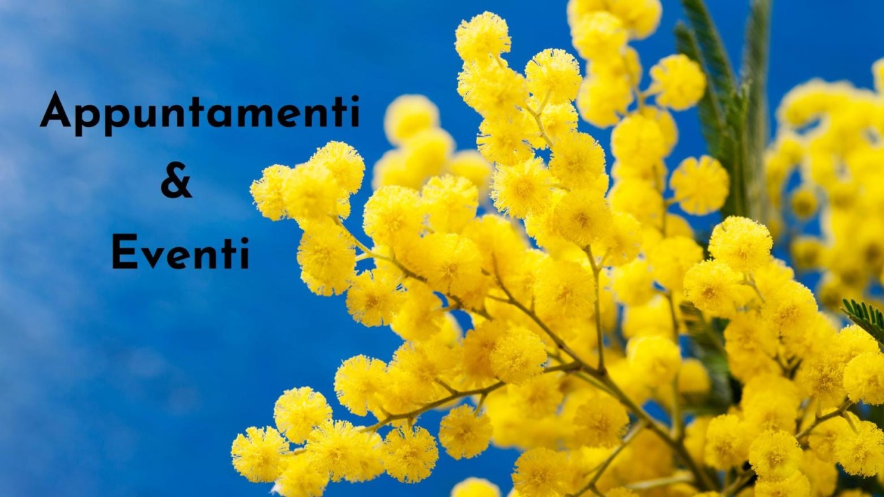 Cosa fare a Rovigo e provincia nel weekend: gli eventi di sabato 7 e domenica 8 marzo 2026