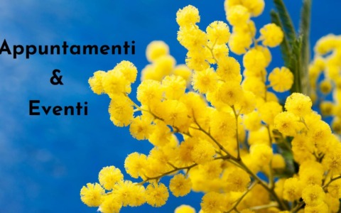 Cosa fare a Rovigo e provincia nel weekend: gli eventi di sabato 7 e domenica 8 marzo 2026