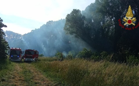 Incendio al Parco Langer di Rovigo: fiamme domate dopo una notte di interventi